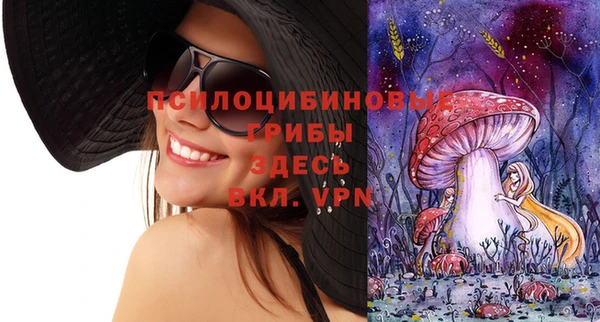 гашиш Няндома